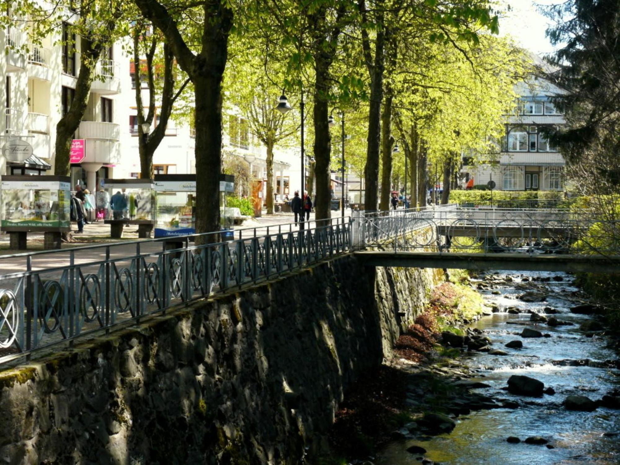 Henning Apartment Bad Harzburg Exterior foto